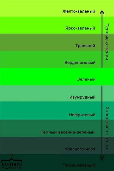 Смысл зеленого цвета в сновидениях