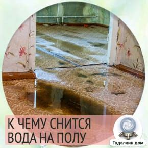 Сновидение: вода на полу