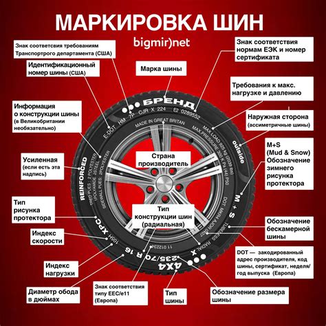 Сновидения о шинах от колес много и знаки судьбы