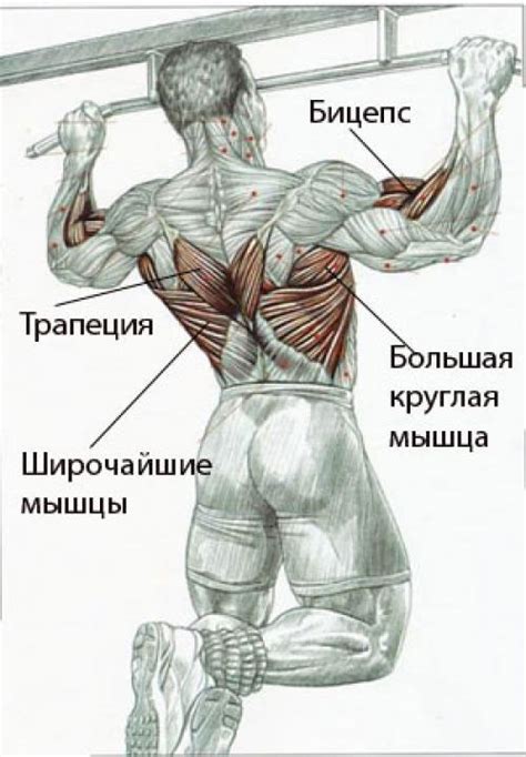 Сны о подтягиваниях на турнике и их значение