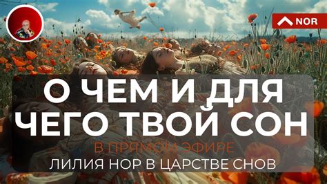 Сны о событиях, происходящих в сне: что они могут нам сообщить?