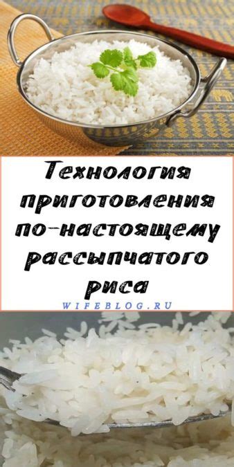 Советы по выбору и хранению рассыпчатого риса