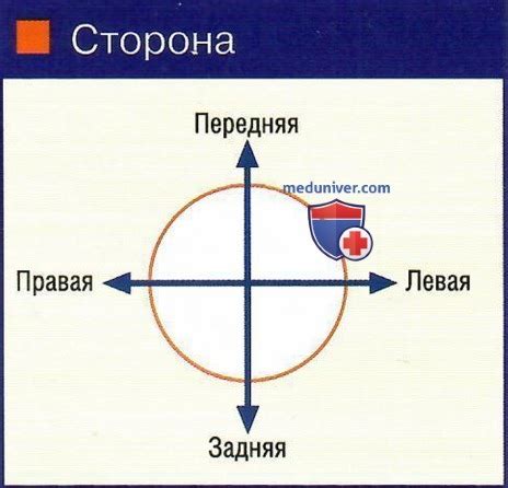 Советы по интерпретации сна на дембель