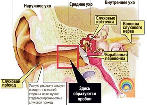 Советы по устранению дискомфорта и зуда в ушах при общении