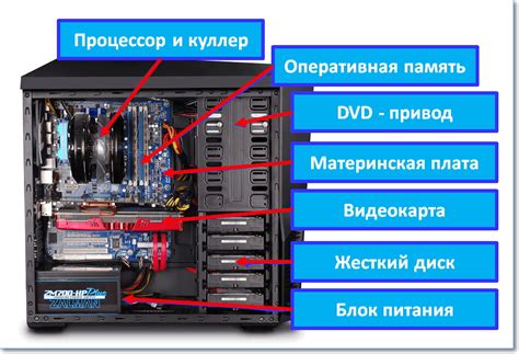 Содержание их системного блока: почему это важно и как правильно производить очистку