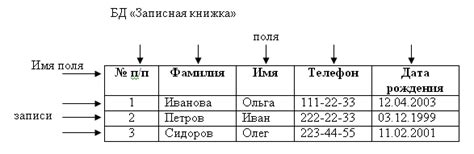 Содержимое и поля