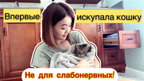 Сонник: кошка с блохами и значение для отношений