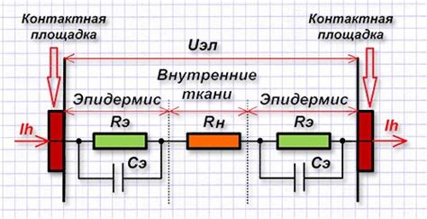 Сопротивление тела человека электрическому току