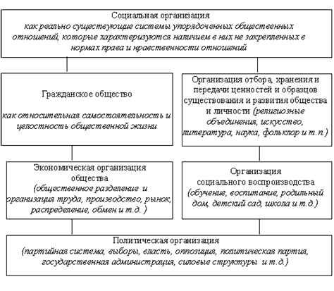 Социальная организация и система ценностей