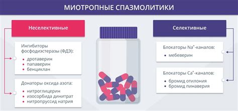 Спазмолитики и их влияние на состояние органов