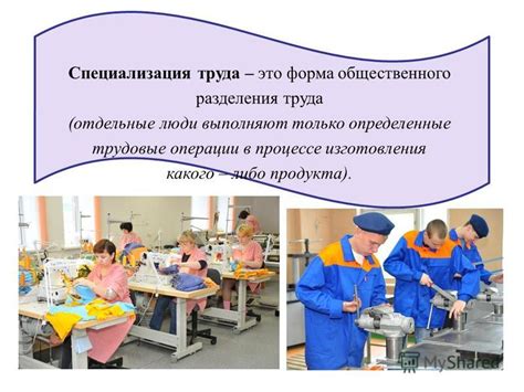 Специализация на конкретных предметах