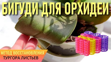 Способы восстановления тургора: