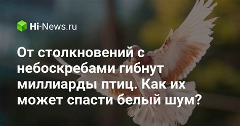 Способы предотвращения столкновений птиц и окон