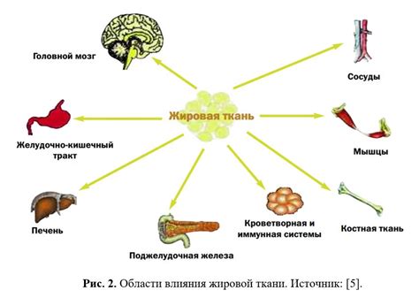 Способы регуляции уровня лептина