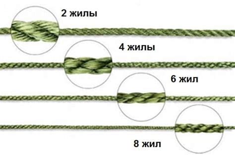 Сравнение: шнур и леска для спиннинга