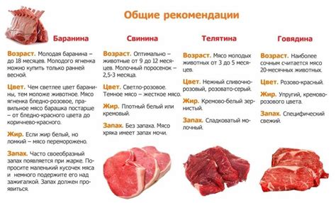 Сравнение мяса телки и мяса быка