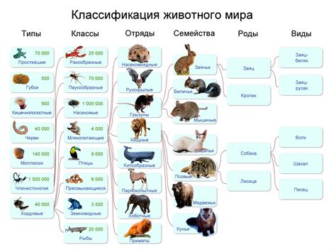 Сравнение разных видов животных