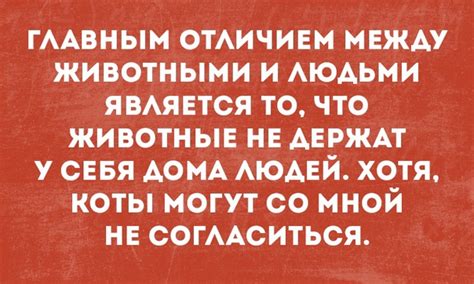 Стиль vs Молодость: что является главным отличием между брендами?