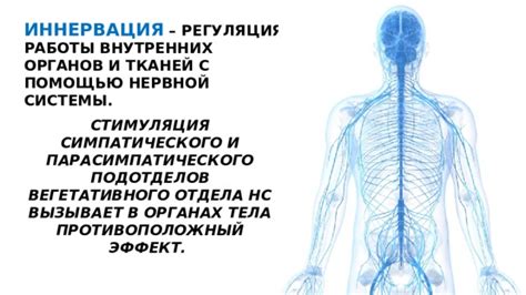 Стимуляция работы внутренних органов