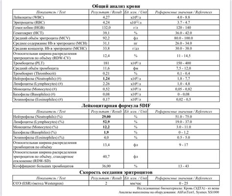 Страхи и неверие: что могут означать такие сны?