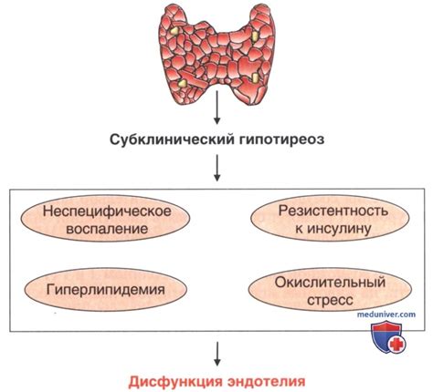 Стресс и его влияние на функцию щитовидной железы