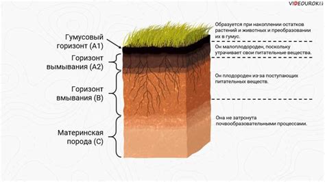 Строение почвы