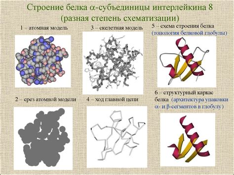 Структура глобулярных белков