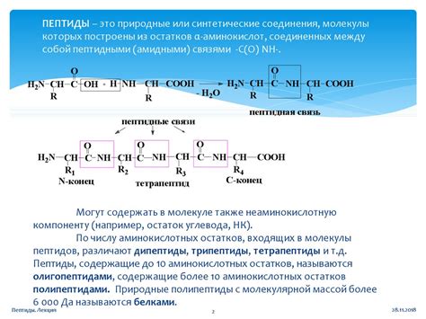 Структура и свойства пептидов