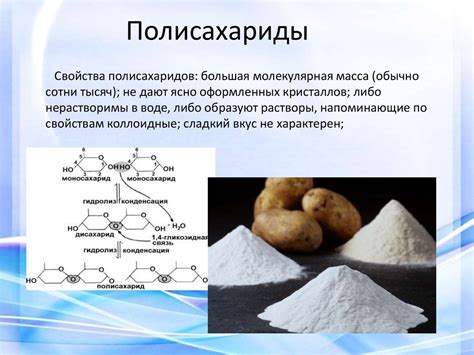 Структура крахмала и целлюлозы: основные различия