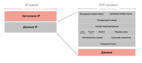 Структура протокола сети