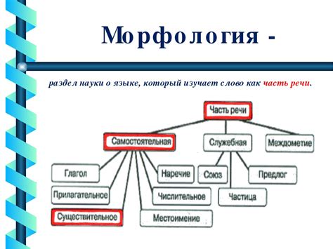 Структура слова в морфологии