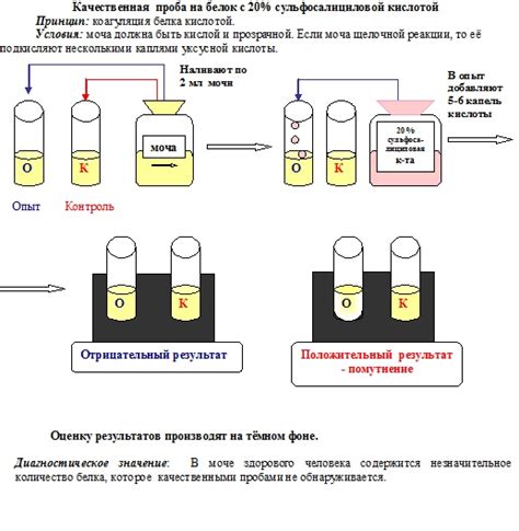 Суть процесса денатурации коллагена