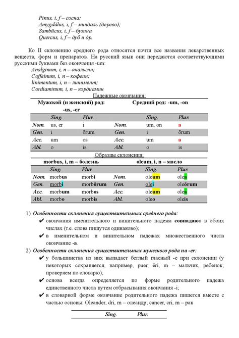 Существительное: определение и категории