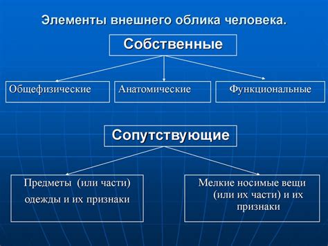 Сущность перемен внешнего облика