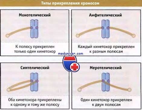 Схема прикрепления