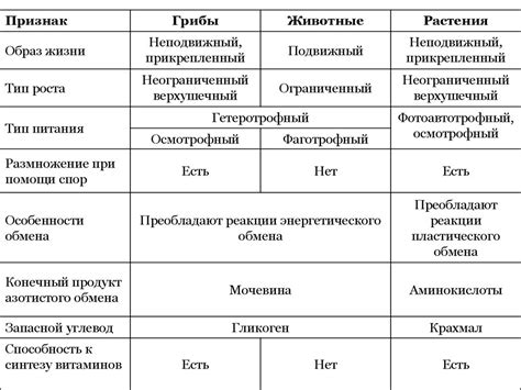 Сходства между беталоками и эгилоками