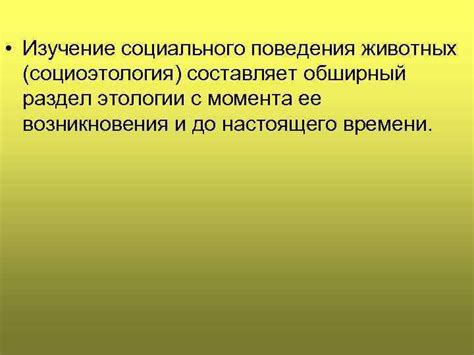 Сходство социального поведения животных и человека