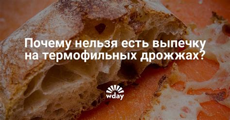 Термофильные овощи для летних дней