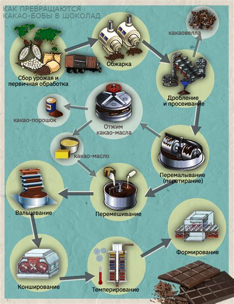 Технологии производства какао и горячего шоколада