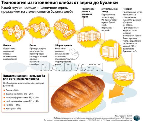 Технология производства хлеба