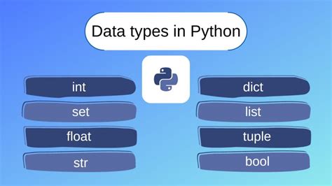 Типы данных в Python: разновидности и особенности