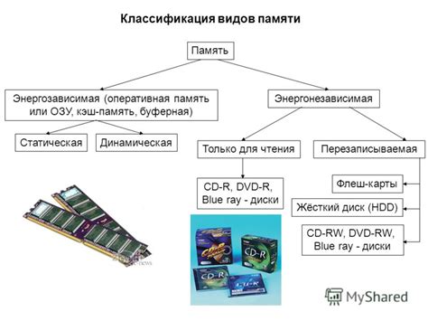 Типы ячеек памяти и адресов в компьютере: обзор и особенности