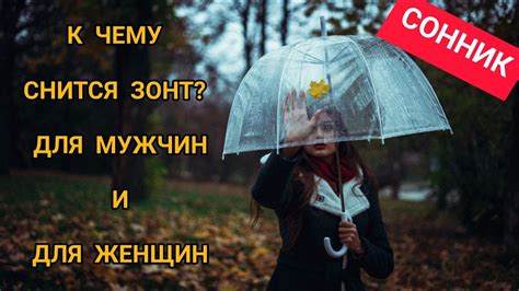 Толкование сна для женщин