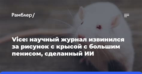 Толкование сна с крысой, укусившей за руку