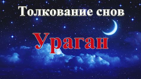 Толкование сновидений: К чему снится ураган сильный деревья валил?