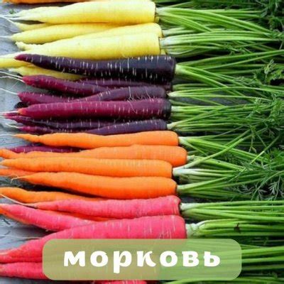 Толкование снов о выборе и сборе цветочных семян