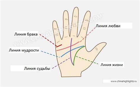 Трактовка извилистых линий на руке