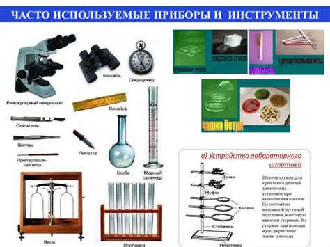 Требования по биологии