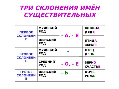 Третье склонение: средний род