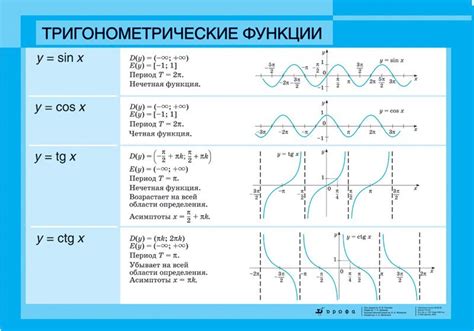 Тригонометрия и тригонометрические функции